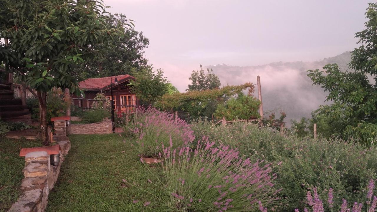 Magiche Langhe Bed and Breakfast Paroldo Exterior foto